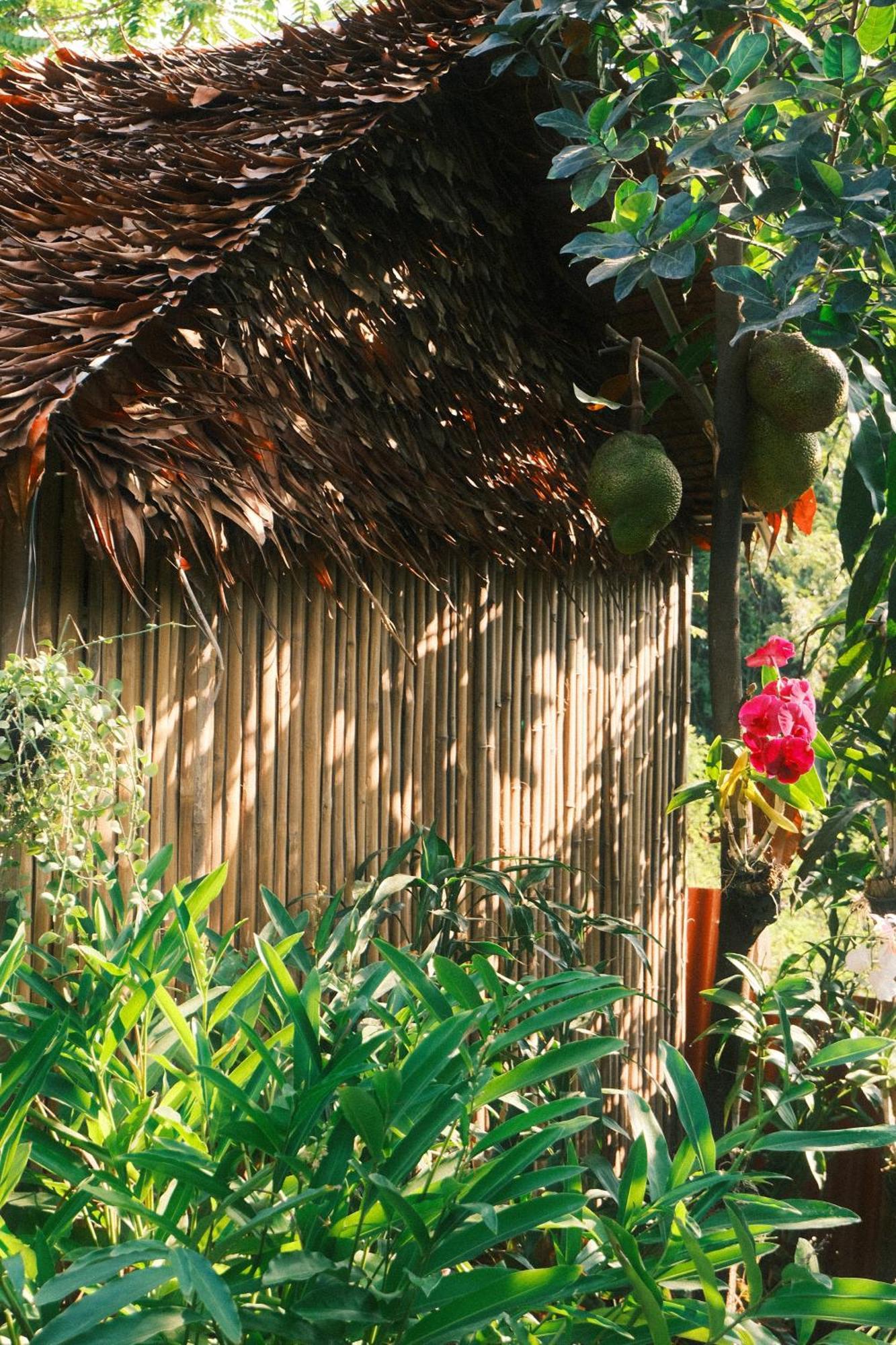 Siem Reap Homesteading II Kültér fotó